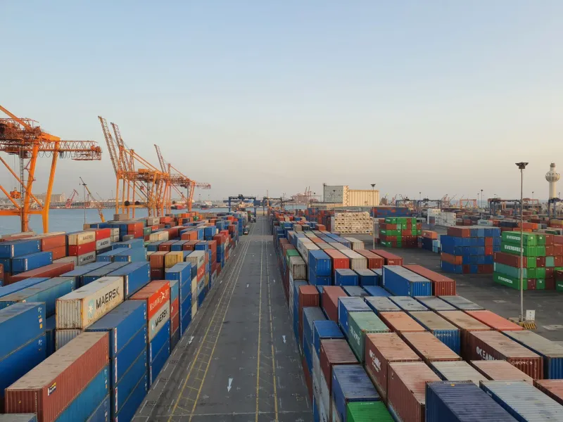 The Human Factor: Why Expert-Led Logistics Solutions Outperform Automated Systems in Complex Global Supply Chains